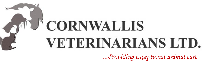 Cornwallis Veterinarians