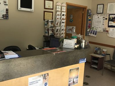 Windsor Clinic- Reception