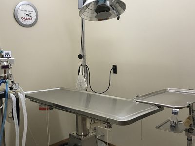 Windsor Clinic - Surgery Suite